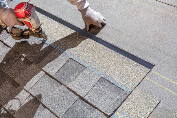 Best Shingle Roofing Installation  in Rio Rico, AZ